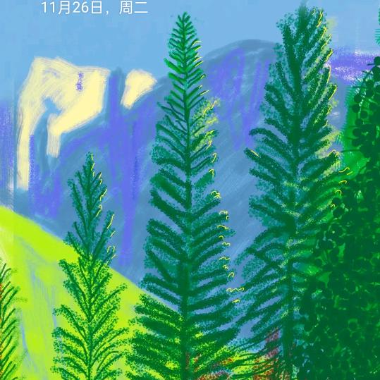 河南袁姐