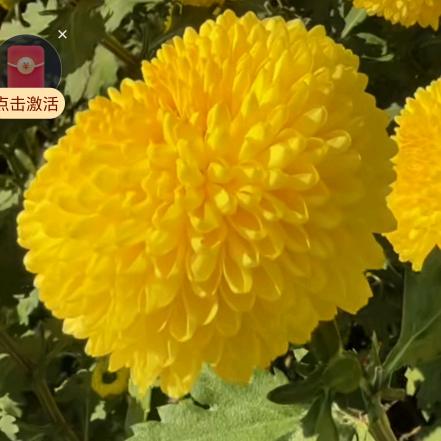🍡幸福