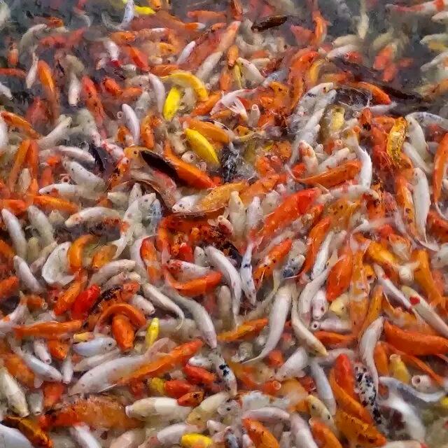 快乐每一天