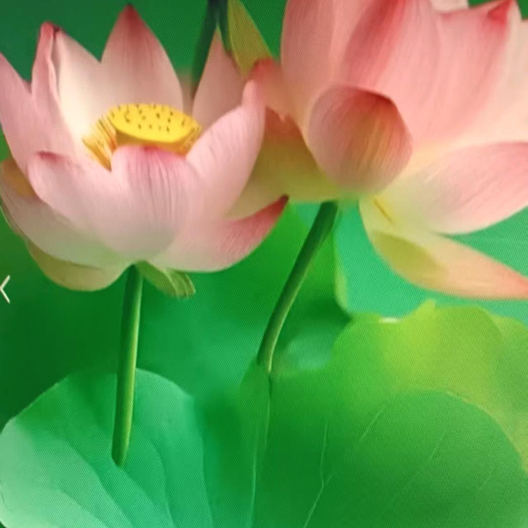 ╭☞细🍀水🌹长🌸刘🌷🍓🌻