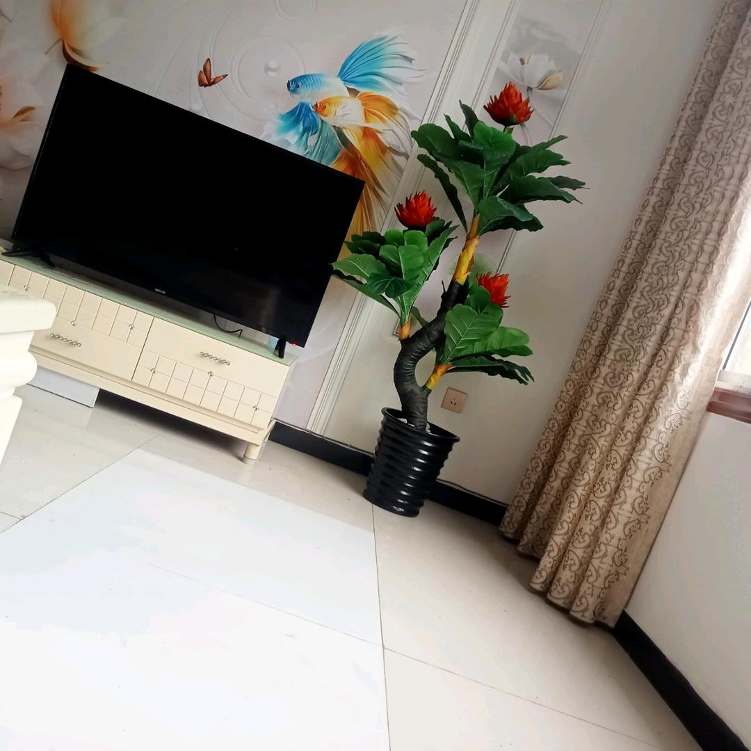 情缐(∗❛ั∀❛ั∗)✧*。