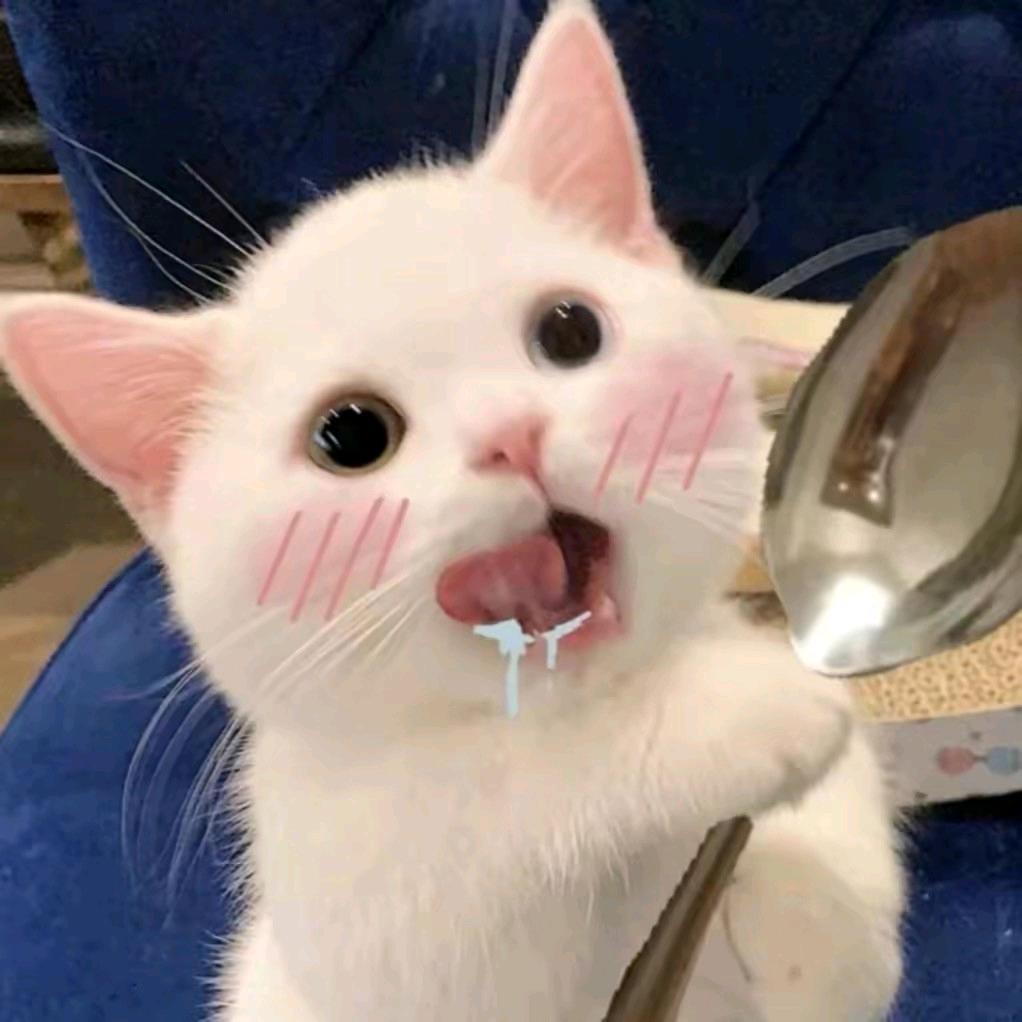 贪婪的偶像大人