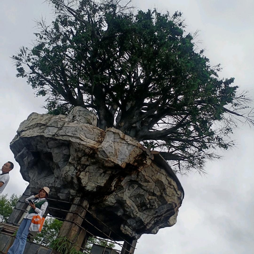 ໑ຼₒ₂₃ღ᭄罗李心田꧔ꦿ᭄💞໑ຼₒ₂