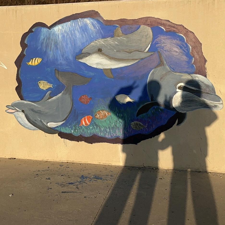 🐳