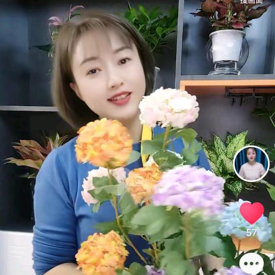 菊平姐姐