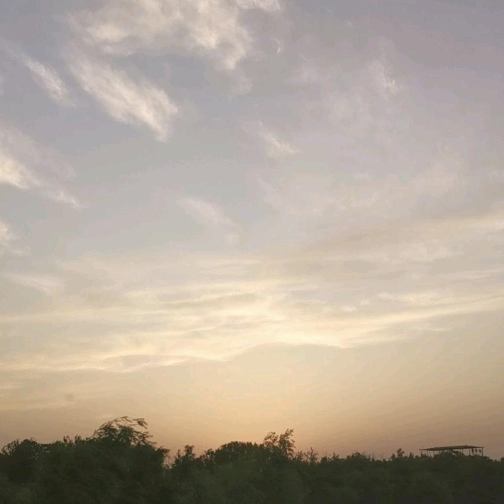 安胜名车小郭子--奥迪专场