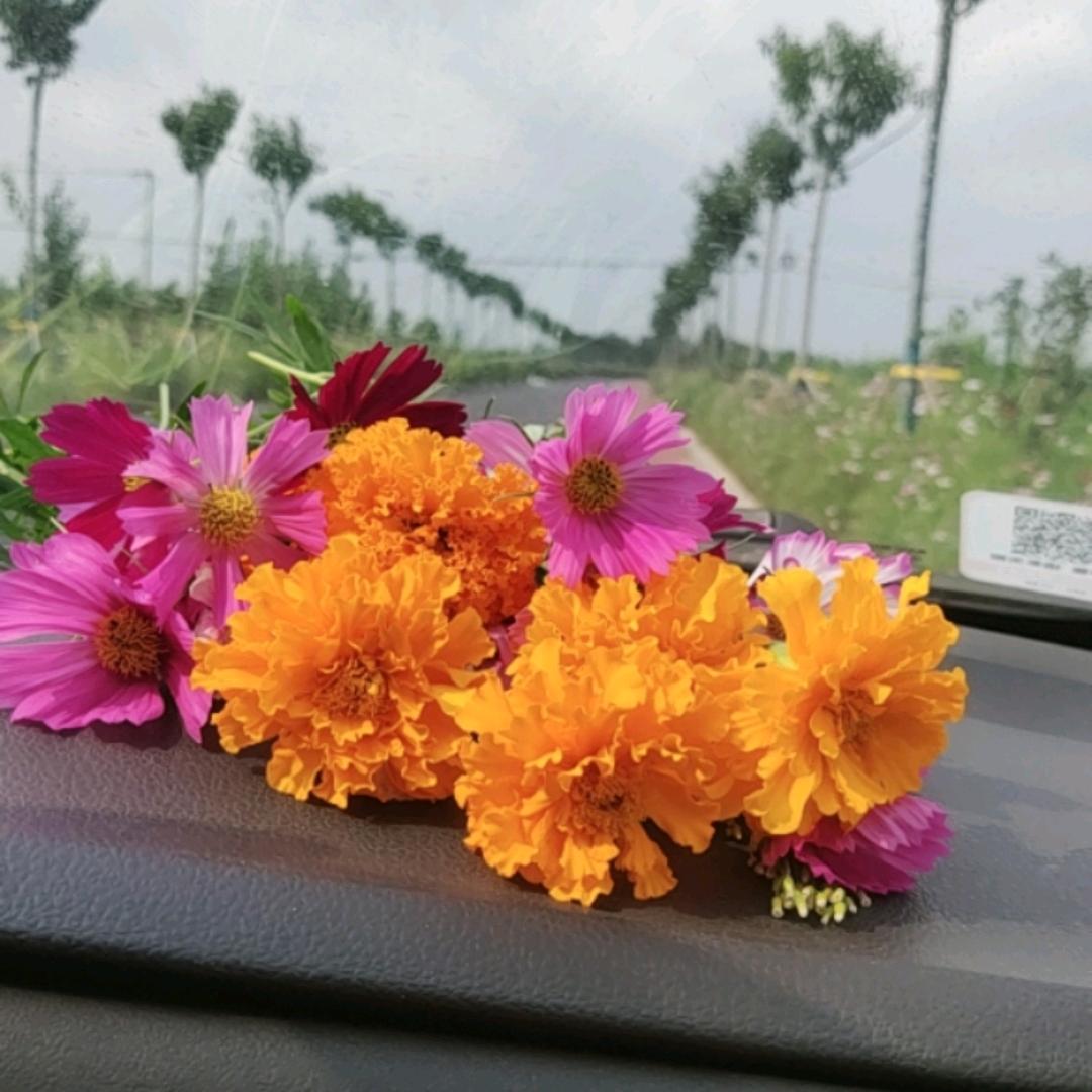 岁月静好♥