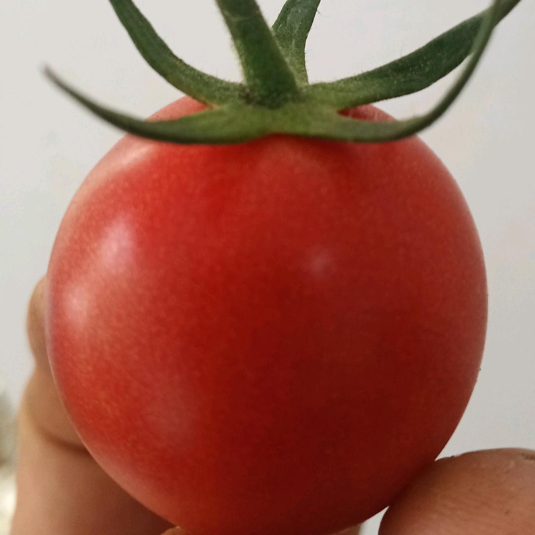 诚信经营，底调做人，