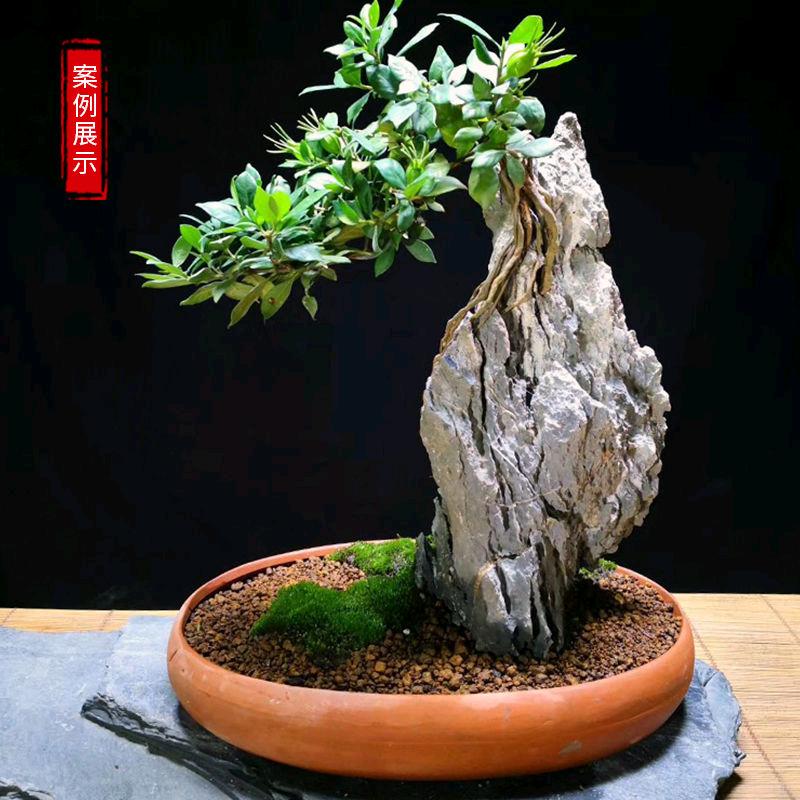 山河