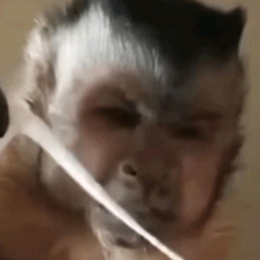 棺一封土一埋亲戚朋友笑出来