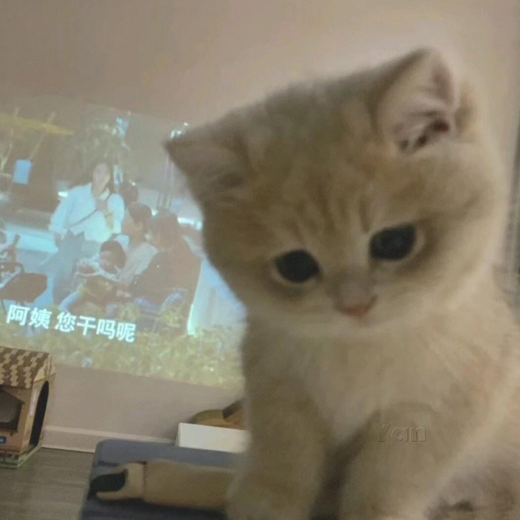芒果