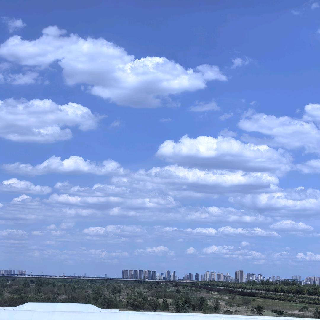 沉默，放弃！！！