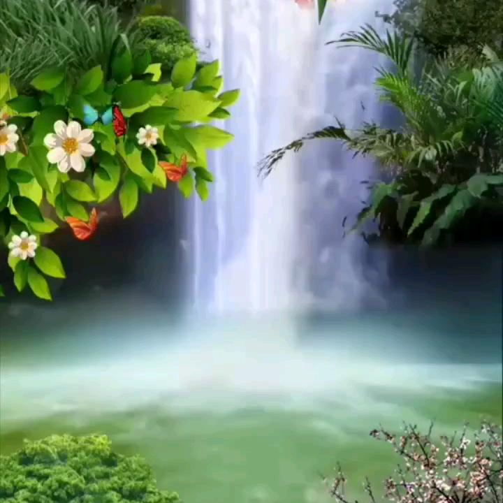 豆豆音乐