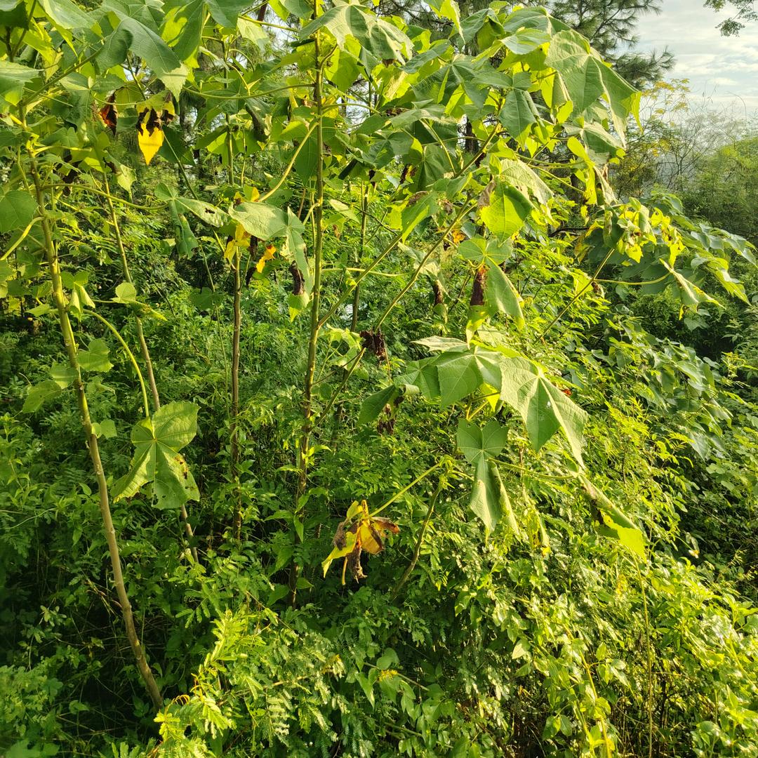 重启人生