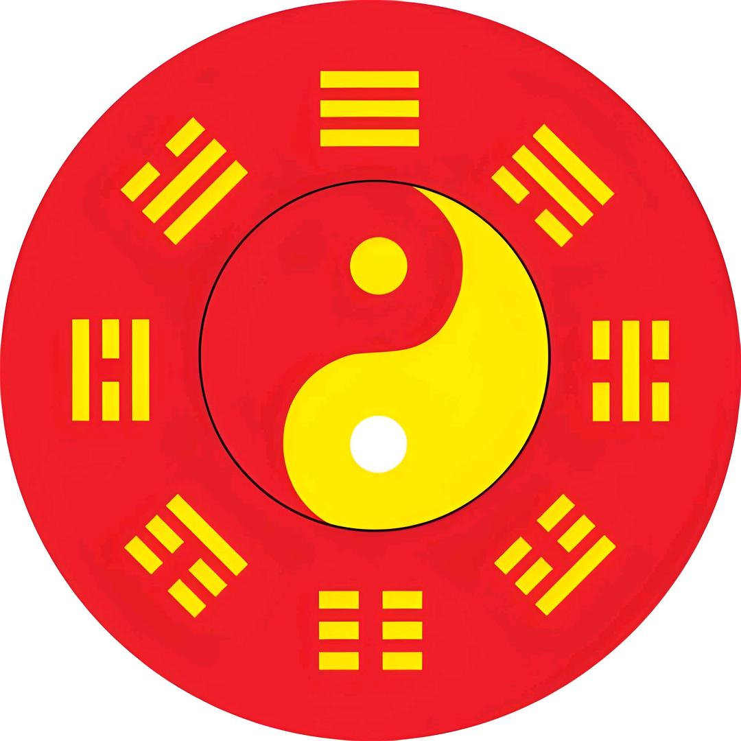 杨先生讲国学