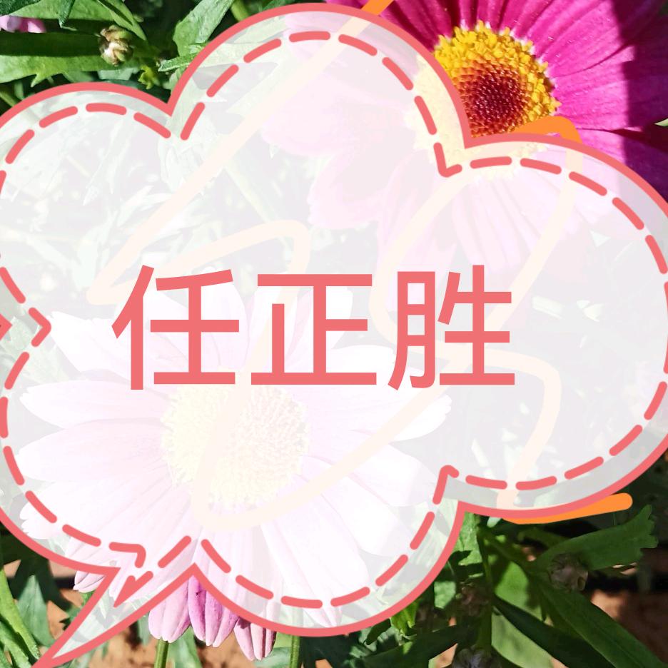 醉美的哥