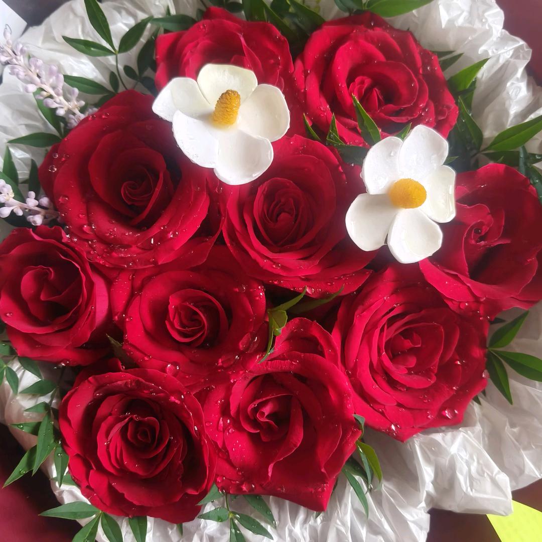 🍀🌹ꦿ꯭º快乐 💞ঞᩚ随心💗: