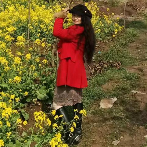 清风暖阳