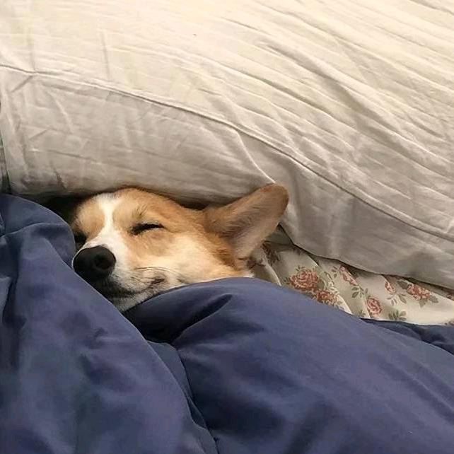 磊累累.