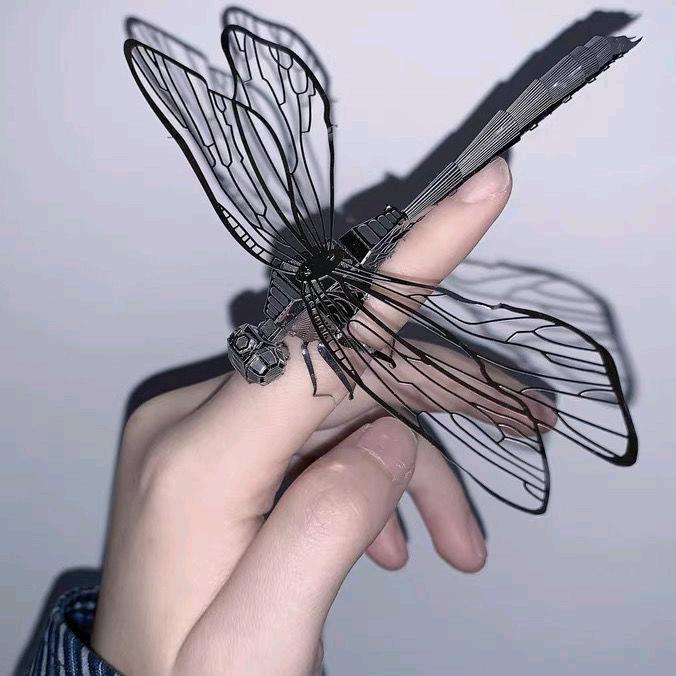 晨曦♡