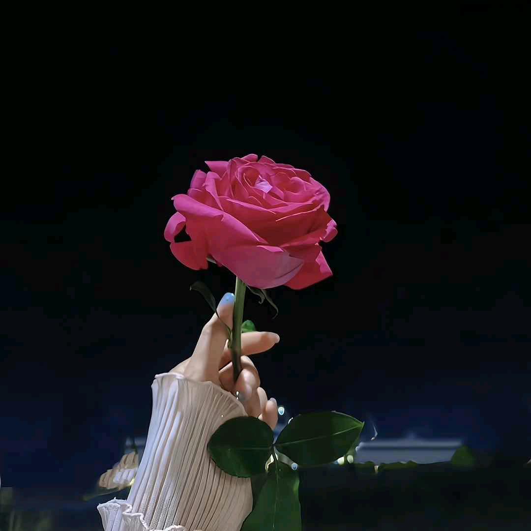 ེ🍼小姐姐❤️⁷¹²