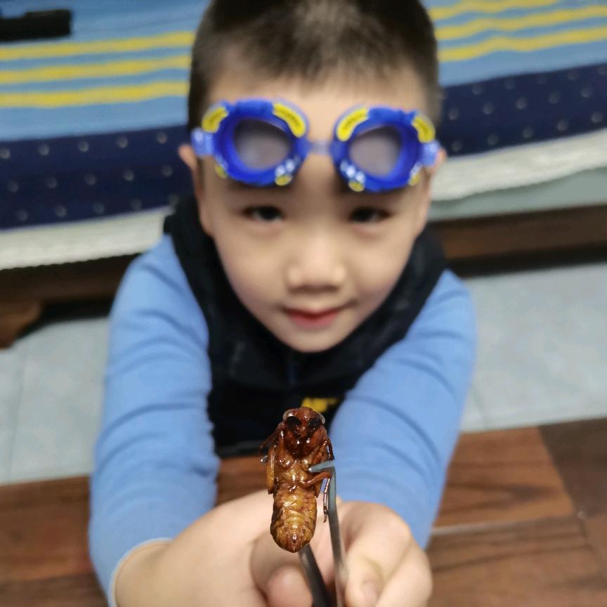 轻舞飞扬