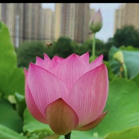 一笑而过.
