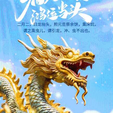 龙哥