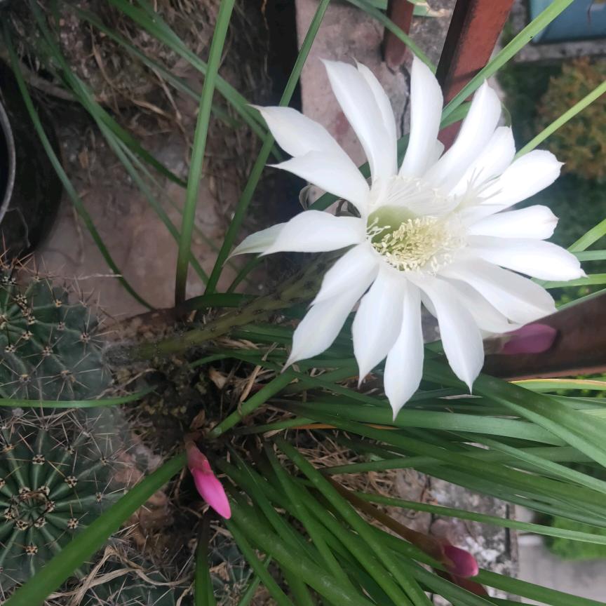 逸忘世界