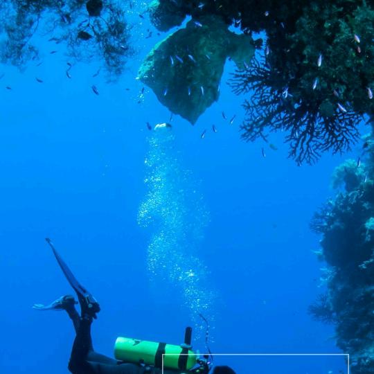 ♈幸福✨阳光ᵒᵒᵒ