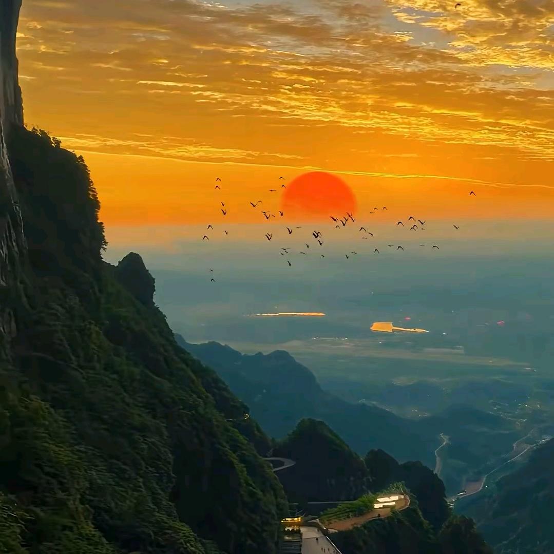 执着