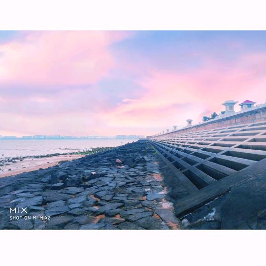 拓海的猫-厦门赶海|海钓|冲浪|帆艇预订
