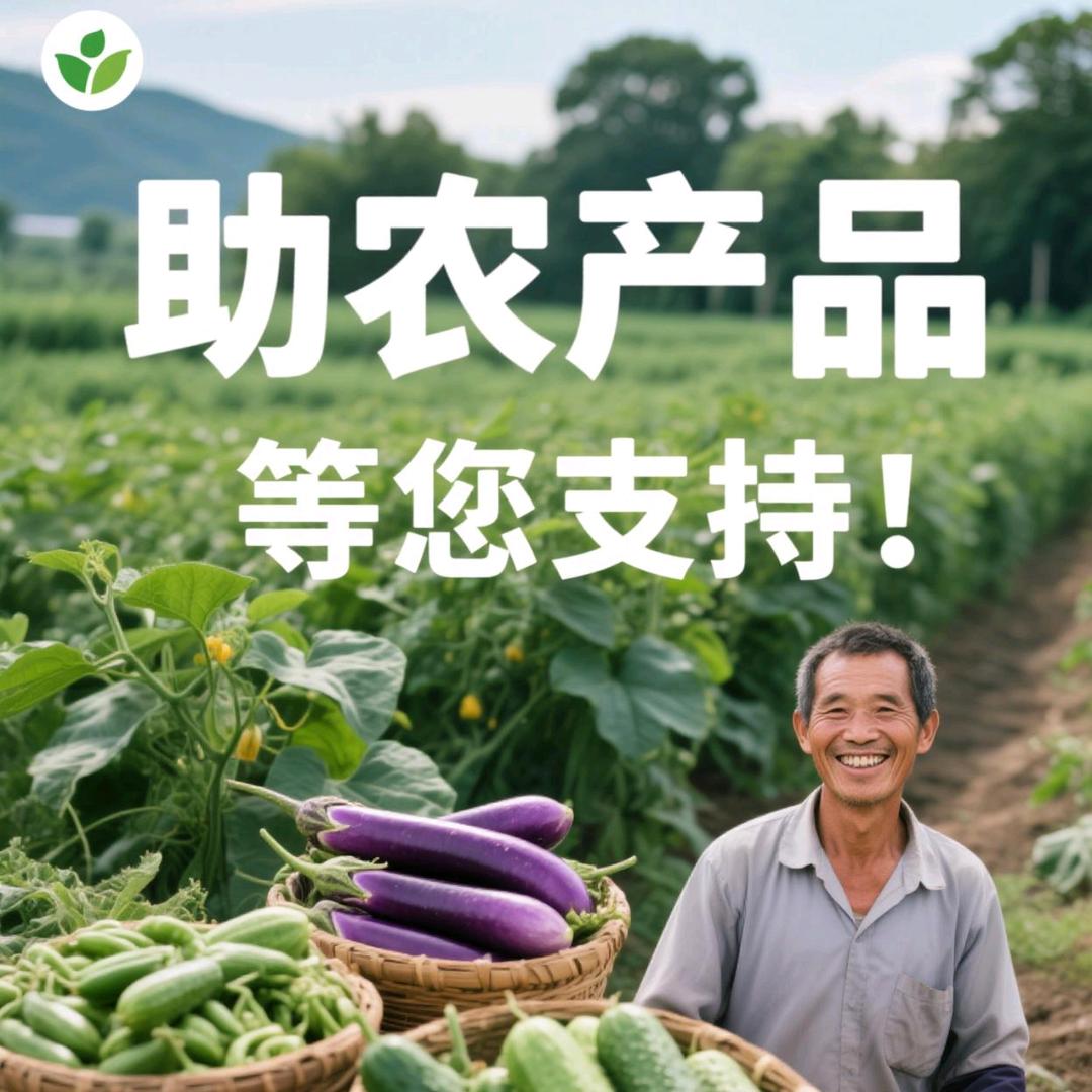 武镇韵哒快递爱心助农团队