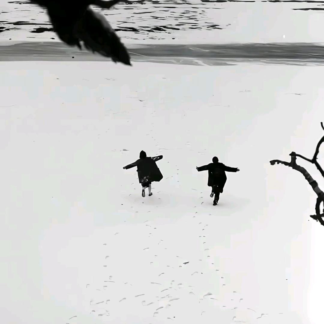 没道理