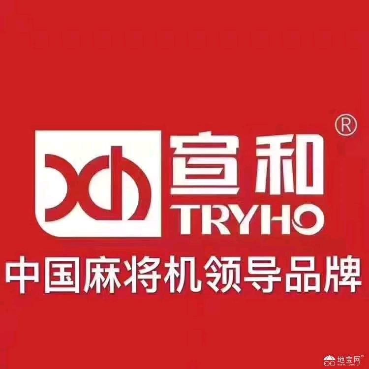 寿县宣和麻将机 王鹏