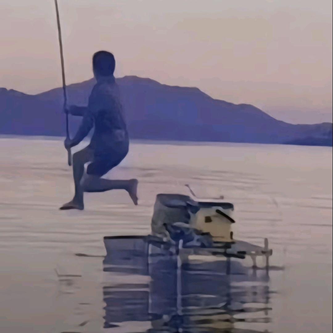 到处看