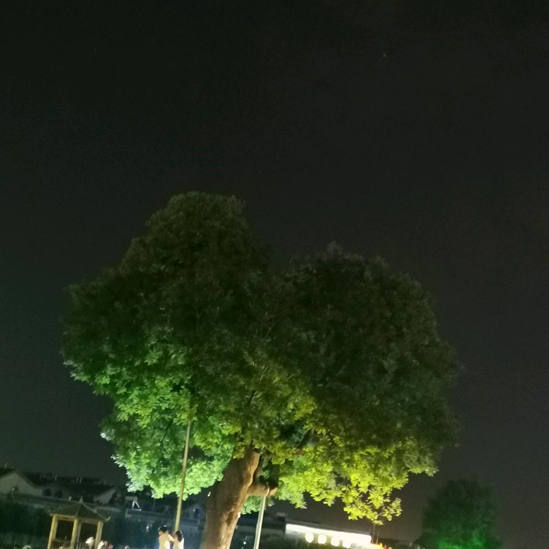 我叫拦不住