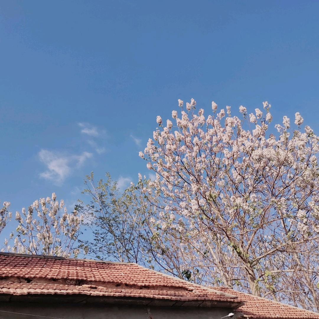 小丑