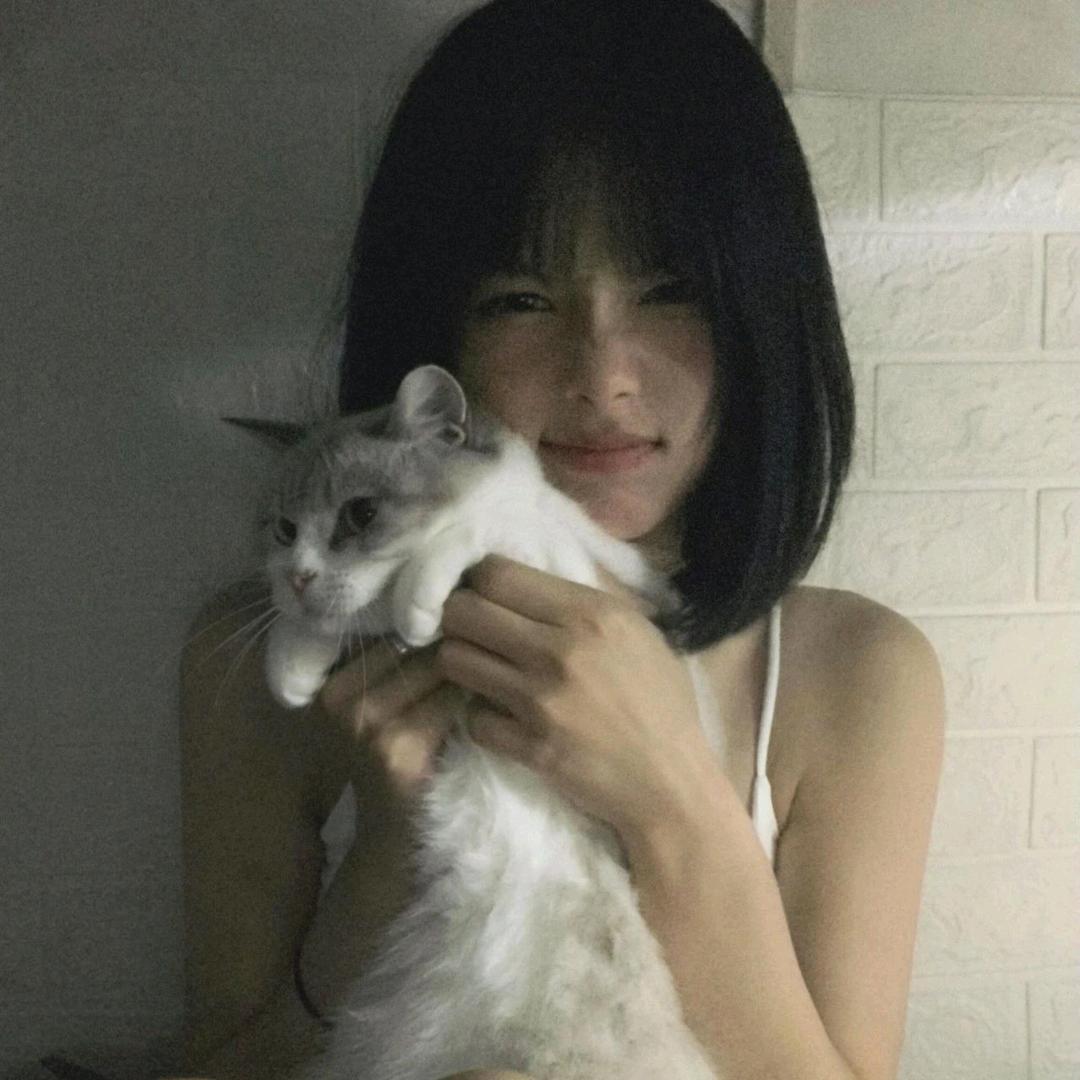 朱古力🍫