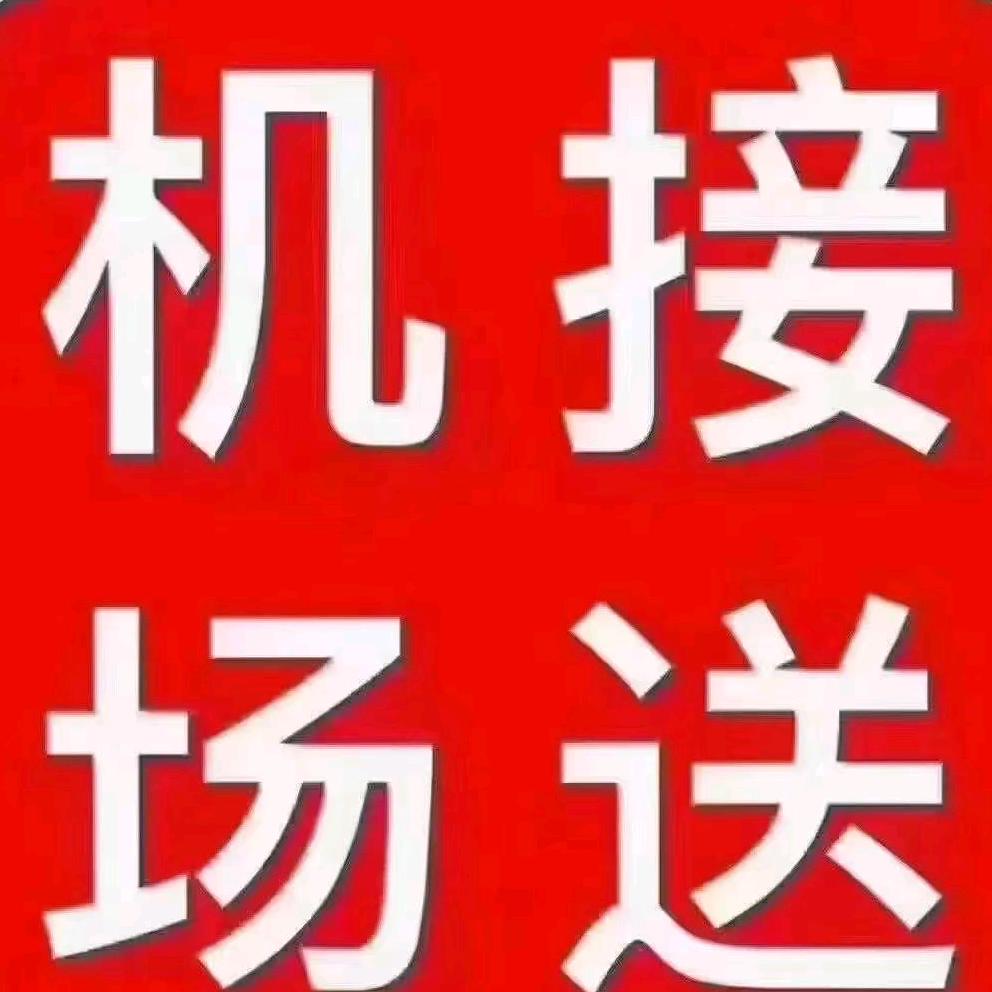 七台河往返哈尔滨机场商务车、