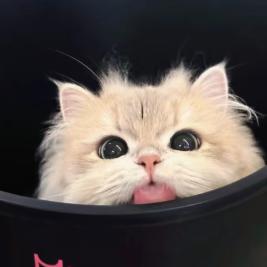 洗涛