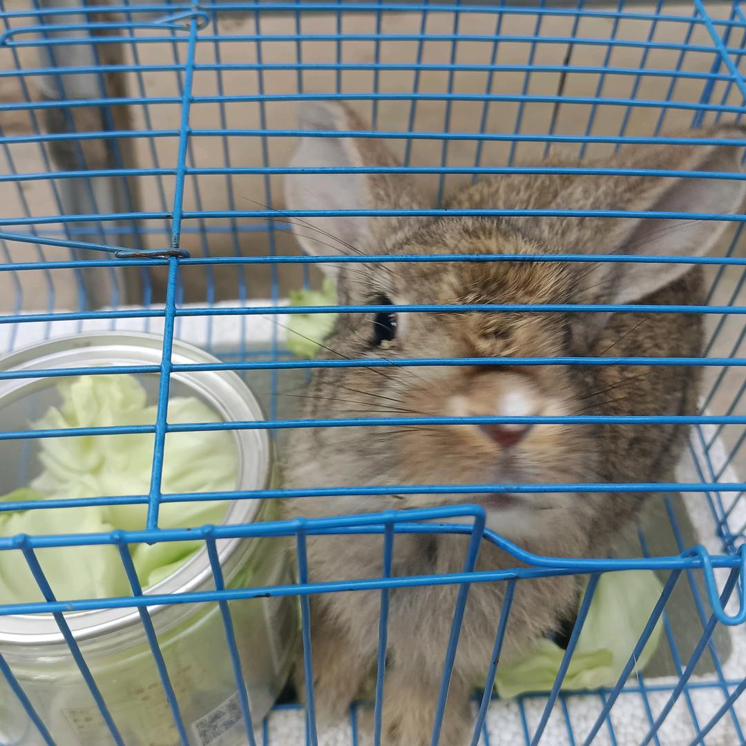 薰衣草夏天