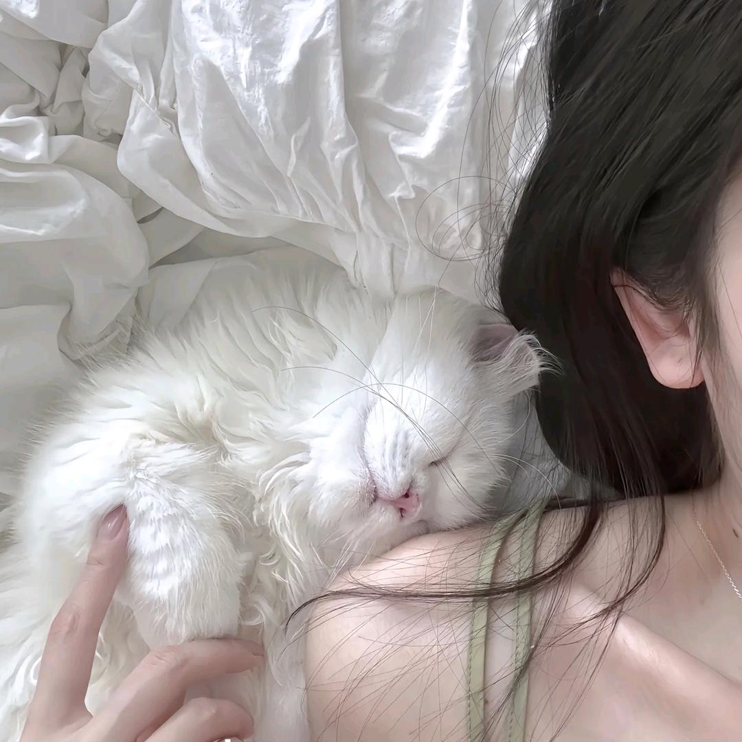 呆呆呀！（退坑中）