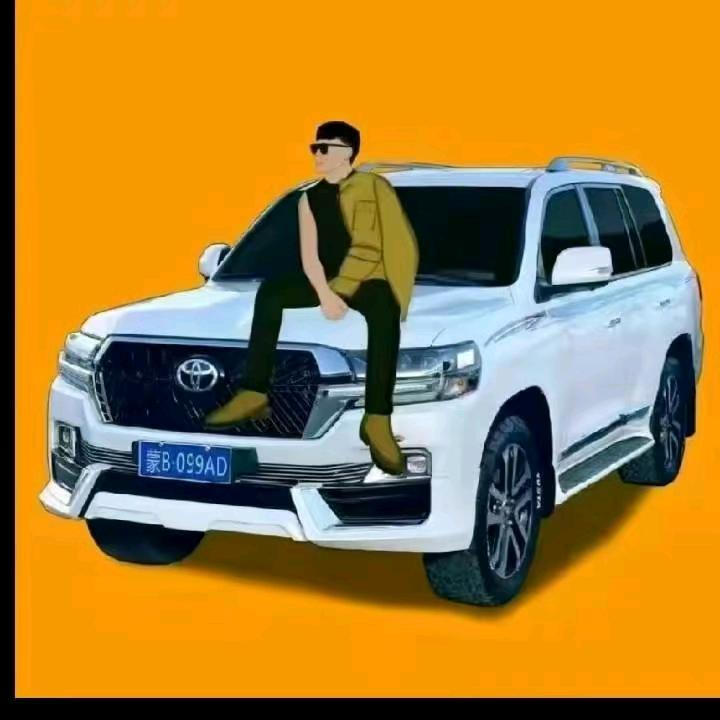 塔依力普