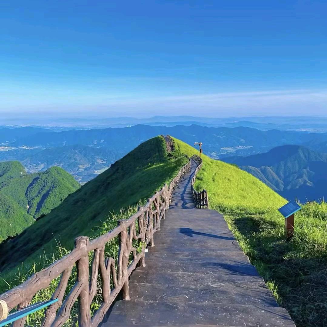 🌈可乐