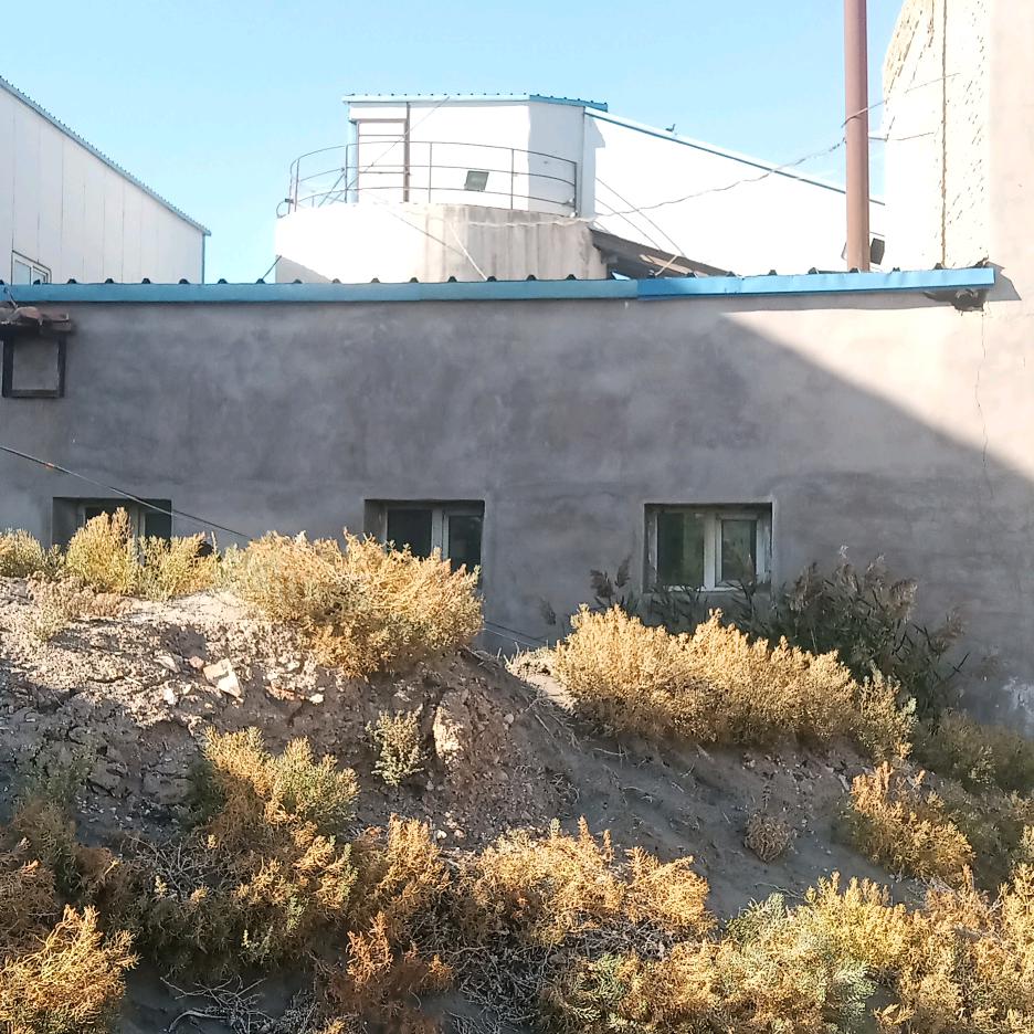 骑着蚂蚁看宇宙