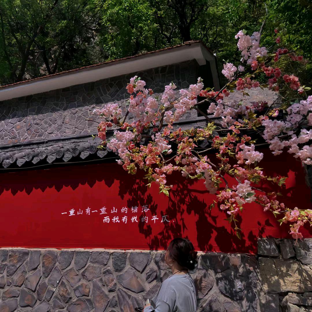 安安子.