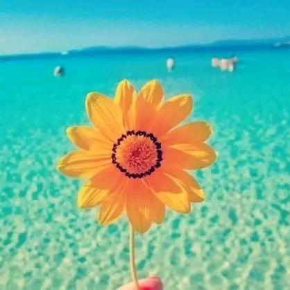 游戏免费玩，好多人啊