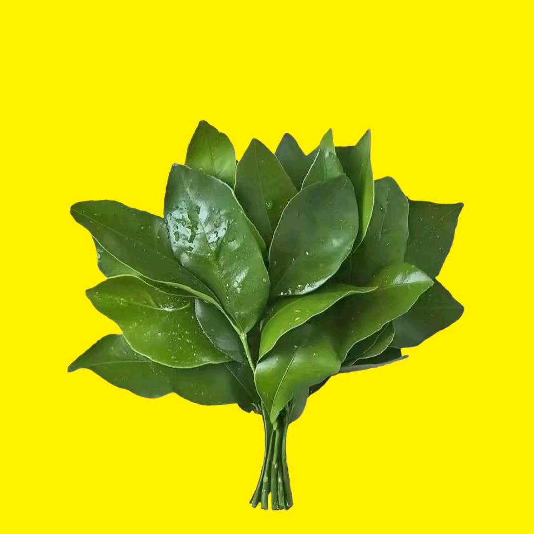 蚝鲜生水产批发基地