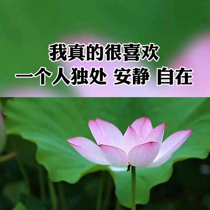 @小寒在织金